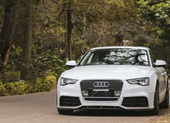 White Audi car parked on a wooded road