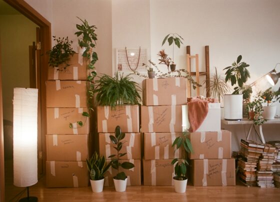 Packed boxes prepared for a household move