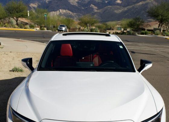 White Lexus car parked with mountains in the background