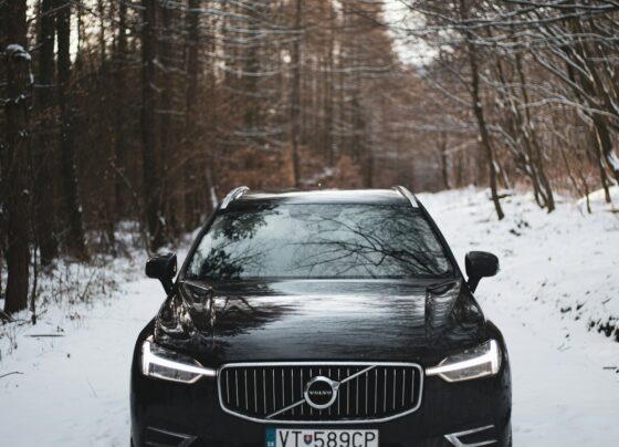 Dark Volvo car parked on a forest road