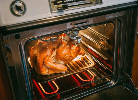 Roasting bird in an open electric oven, with the rack and lower heating element visible.