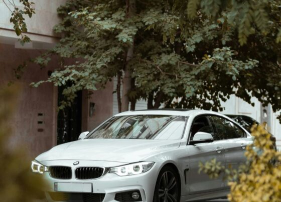 White BMW car parked among trees