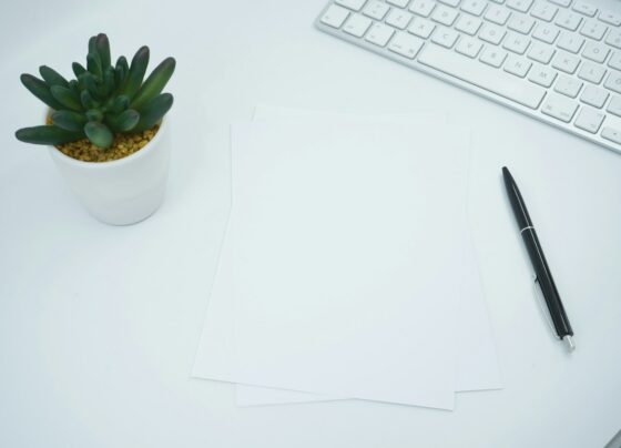 Blank papers and a pen on a desk beside a keyboard and small plant.